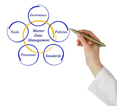 Efendi veri yönetim şeması