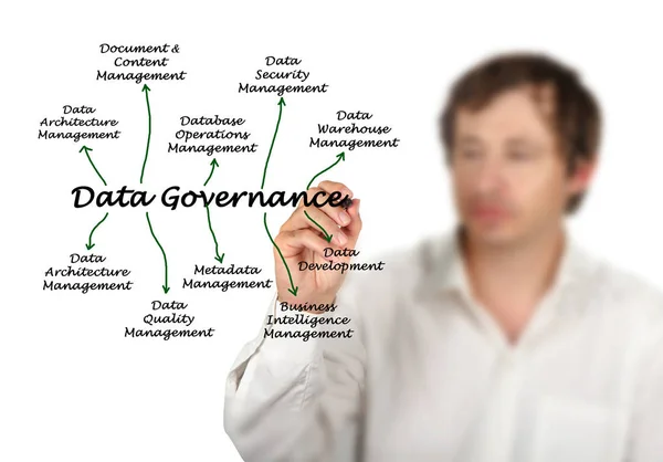 Diagram of Data Governance