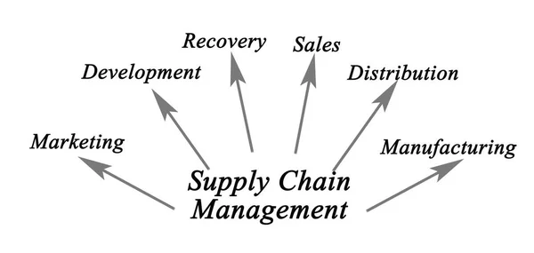 Диаграмма управления цепочками поставок — стоковое фото