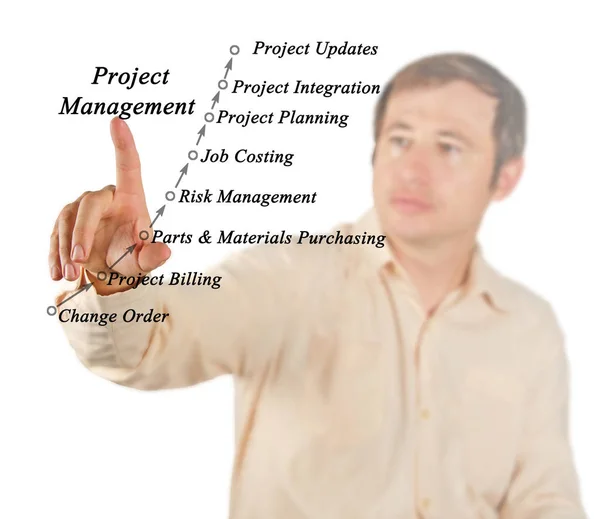 Schema des Projektmanagements — Stockfoto