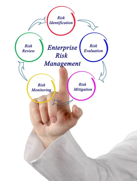 Diagram of Enterprise Risk Management