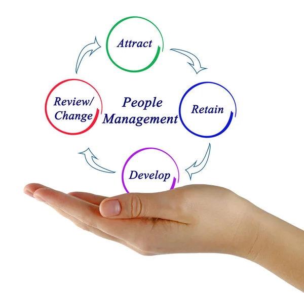 Diagram of People management — Stock Photo, Image