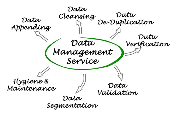Diagrama del Servicio de Gestión de Datos — Foto de Stock