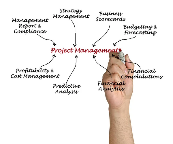 Diagrama de gestão de projectos — Fotografia de Stock