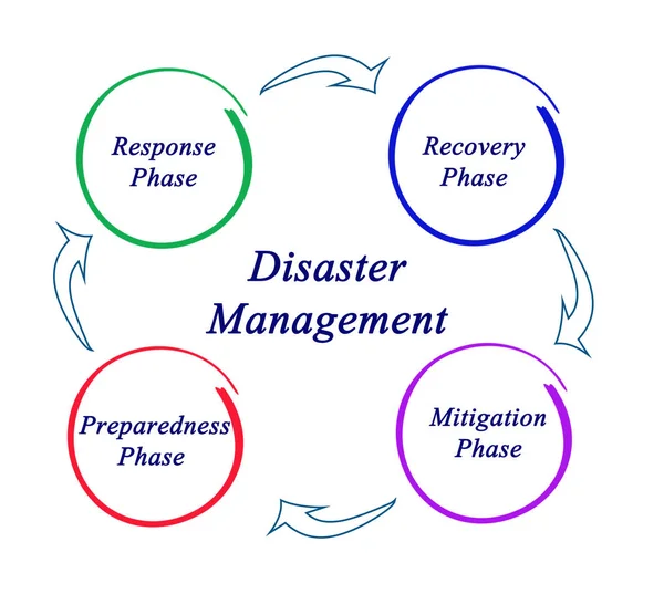 Diagram of  Disaster Management — Stock Photo, Image