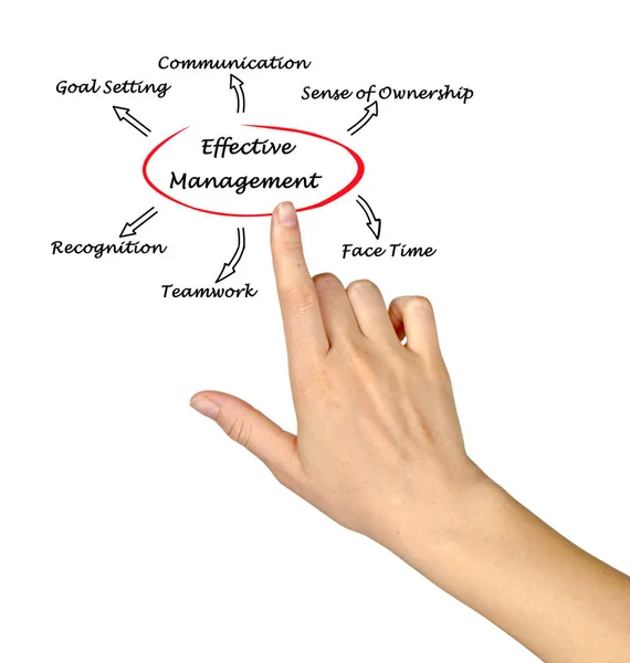 Diagram of Effective Management — Stock Photo, Image