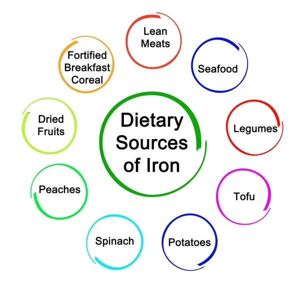 Diagrama das Fontes Dietéticas de Ferro — Fotografia de Stock