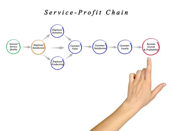 Diagram över Service Profit Chain — Stockfoto