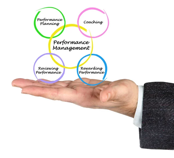 Diagram över Performance Management — Stockfoto