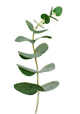 fabrikayı kapatın. 