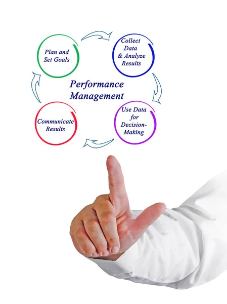Performans yönetimi diyagramı — Stok fotoğraf