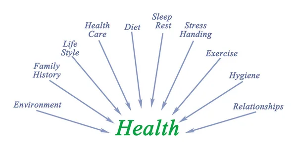 Diagrama de los componentes de salud — Foto de Stock