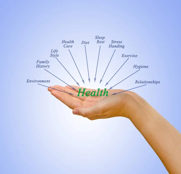 Diagrama de componentes de saúde — Fotografia de Stock