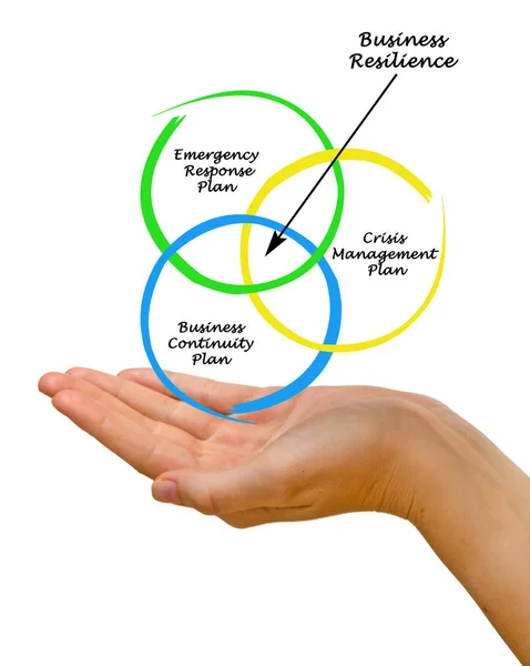 Diagramme de la résilience des entreprises — Photo