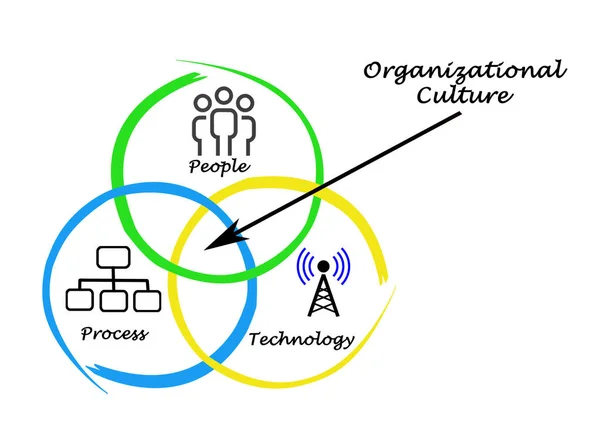 Diagram of Organizational Culture — Stock Photo, Image