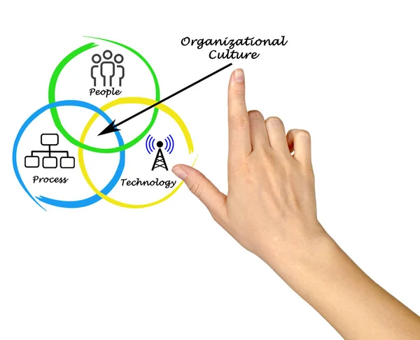 Schema della Cultura Organizzativa — Foto Stock