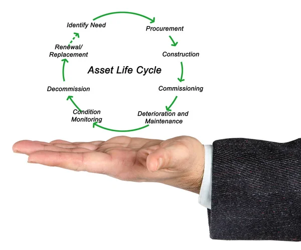 Diagram över tillgångens livscykel — Stockfoto
