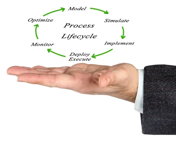 Diagram of Process lifecycle — Stock Photo, Image