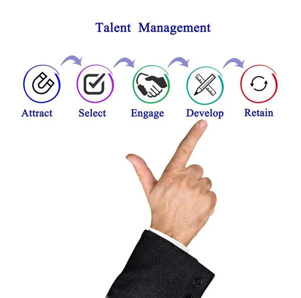 Diagram of Talent  Management — Stock Photo, Image