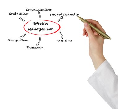 Etkili yönetim şeması 