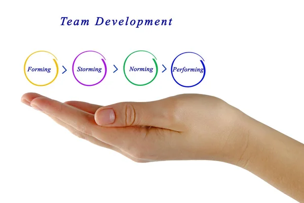 Diagrama de Desenvolvimento de Equipe — Fotografia de Stock