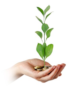 yeşil iş yatırım