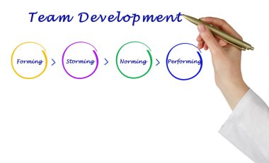 Ekip geliştirme diyagramı   