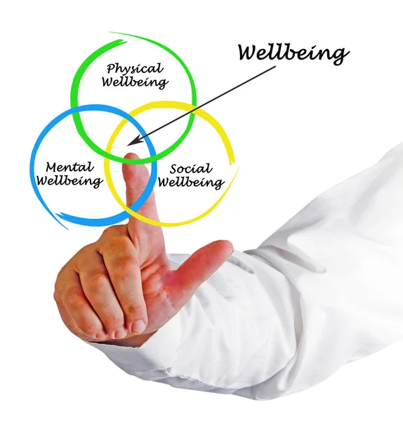 Diagram of causes of Wellbeing — Stock Photo, Image