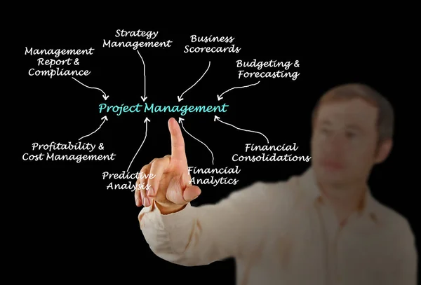Schemat zarządzania projektami — Zdjęcie stockowe