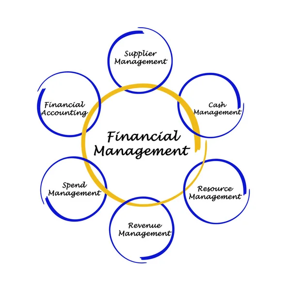 Diagram of Financial Management — Stock Photo, Image