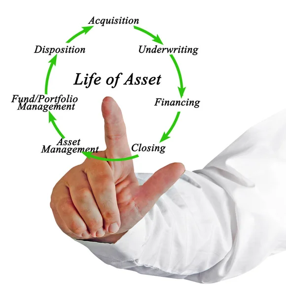 Diagram of Life of Asset — Stock Photo, Image