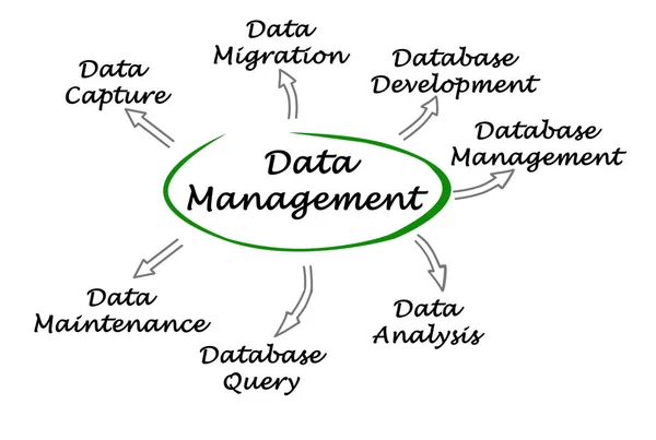 Diagram manajemen data — Stok Foto