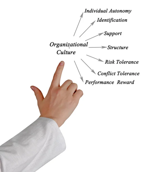 Diagram of Organizational Culture — Stock Photo, Image