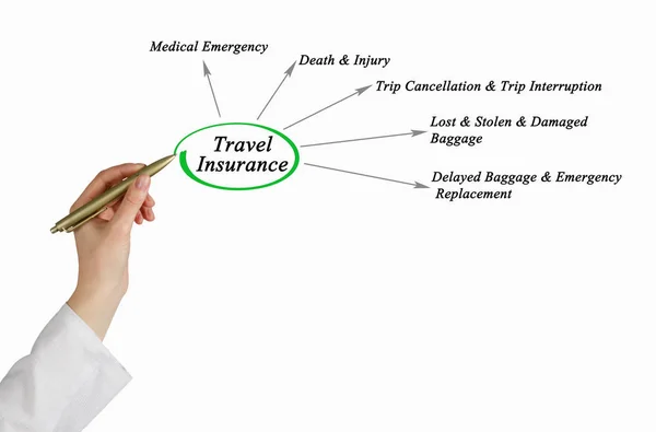 Diagrama del seguro de viaje —  Fotos de Stock