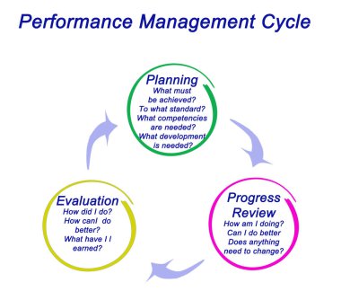 Performans yönetim süreci