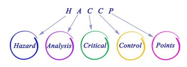 HACCP Düzenleme Gereksinimleri Diyagramı