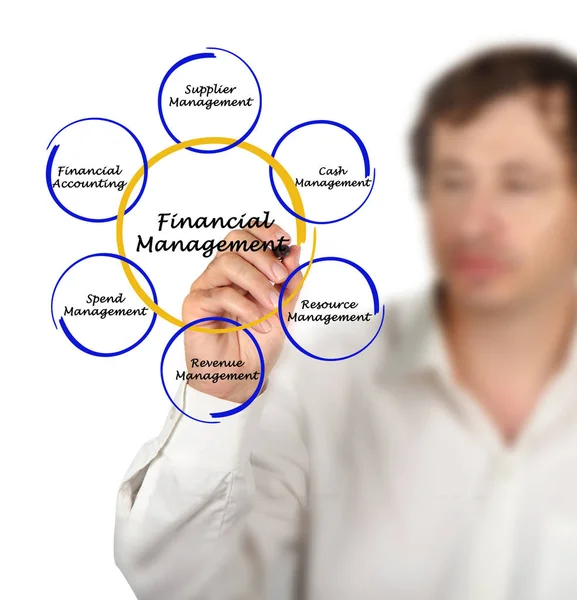 Diagrama de Gestión Financiera — Foto de Stock