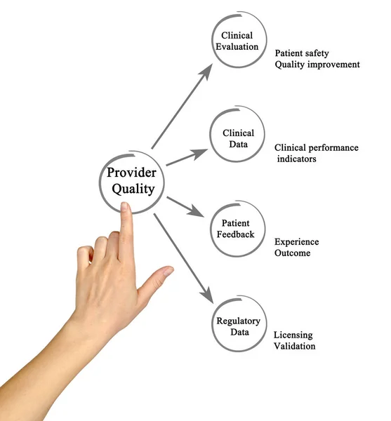 Diagram of Provider Quality — Stock Photo, Image