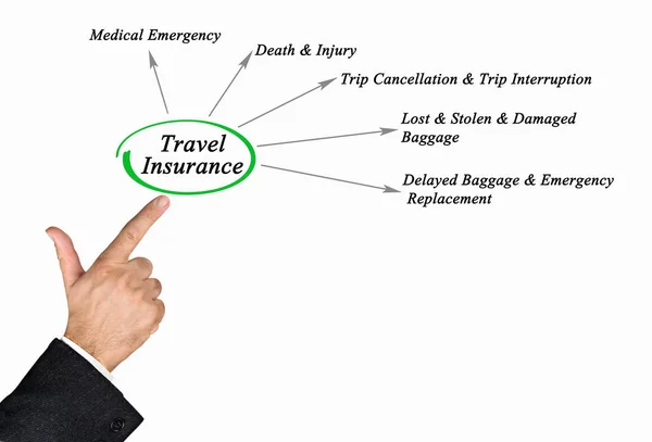 Diagrama de Seguro de Viagem — Fotografia de Stock