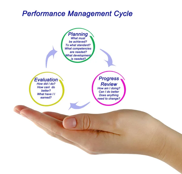 De Performance Management-proces — Stockfoto