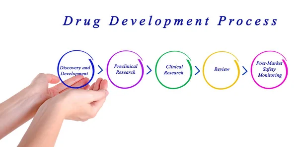 Diagrama del proceso de desarrollo de medicamentos — Foto de Stock