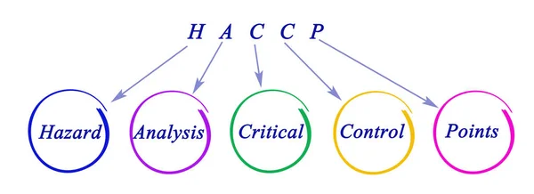 Діаграма Регуляторних вимог HACCP — стокове фото