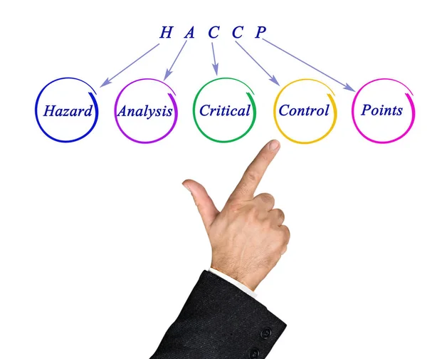 Schéma regulačních požadavků Haccp — Stock fotografie