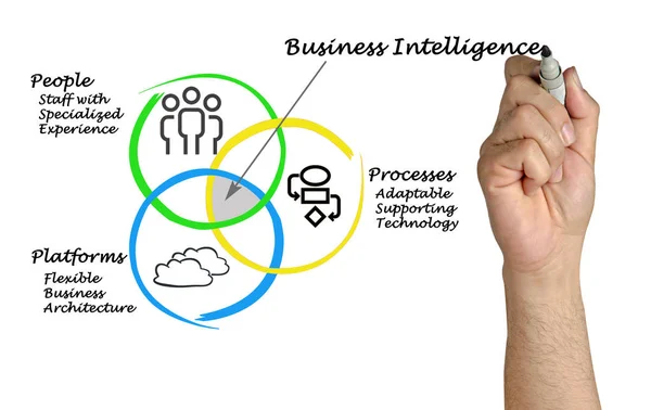 Diagram of Business Intelligence — Stock Photo, Image