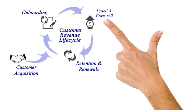 Диаграмма жизненного цикла доходов клиентов — стоковое фото