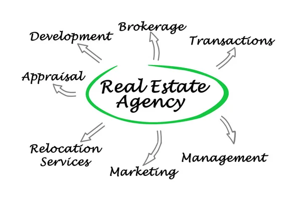 stock image Diagram of Real Estate Agent