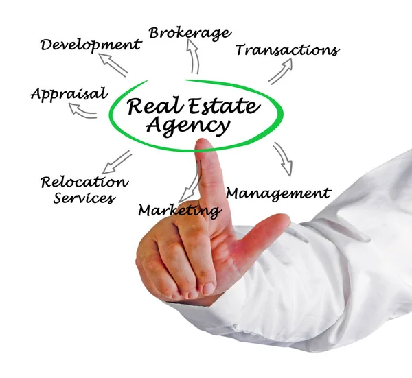 Diagram of Real Estate Agent — Stock Photo, Image