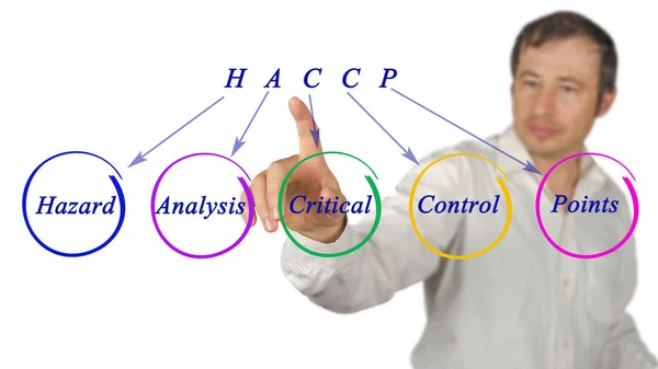 Diagramm der HACCP-Regulierungsanforderungen — Stockfoto