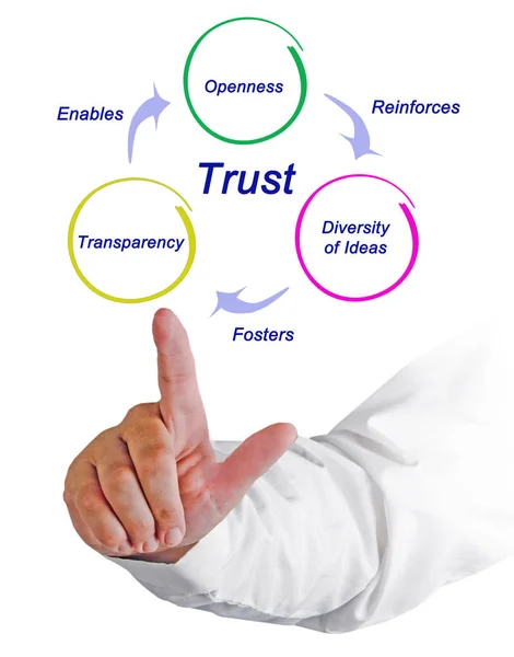 Presentera Diagram över förtroende — Stockfoto
