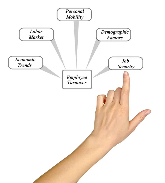 Diagram över personalomsättning — Stockfoto